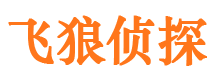 元江飞狼私家侦探公司